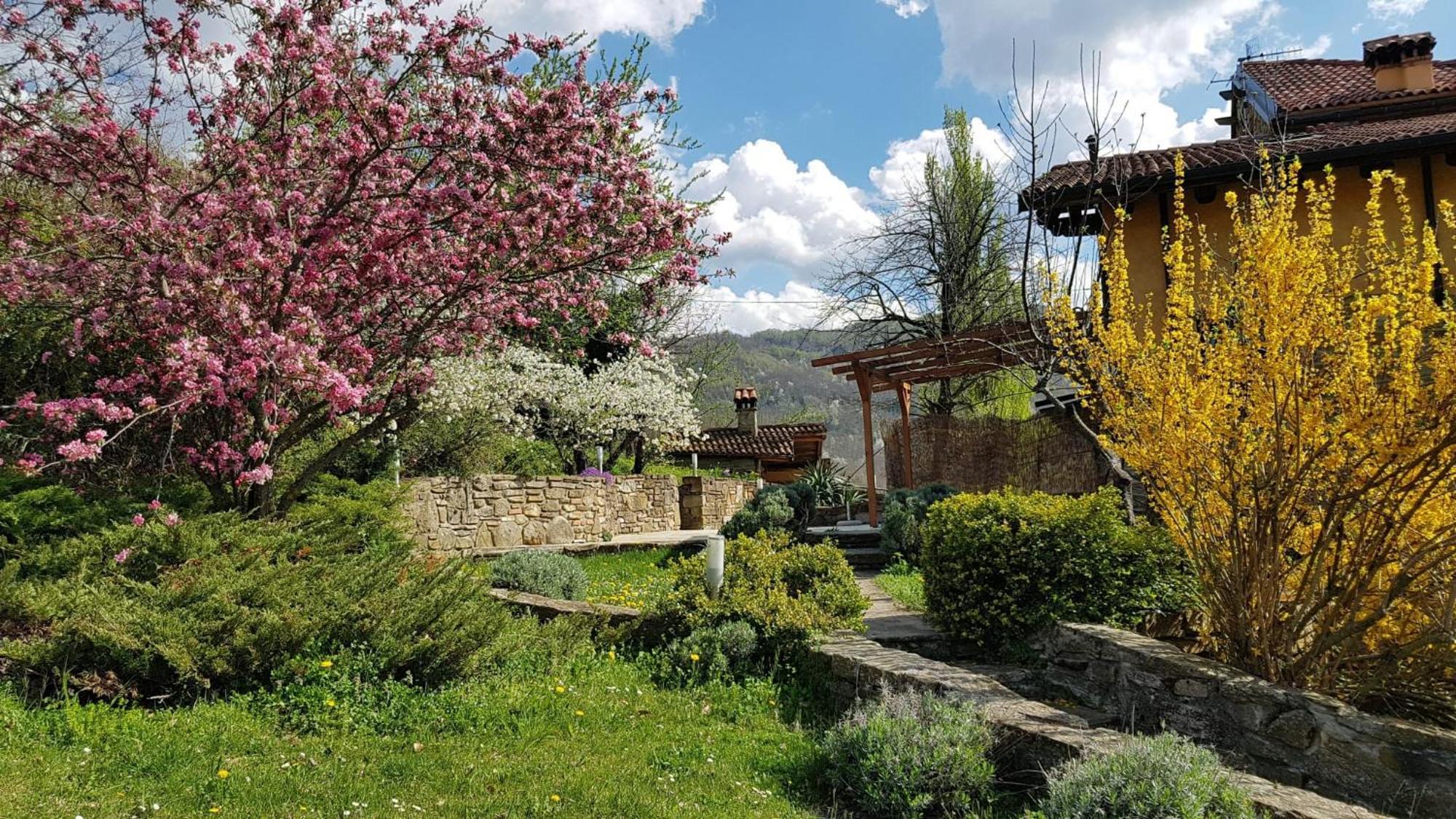 Agriturismo Fattoria Ca Di Sole San Benedetto Val di Sambro Exteriér fotografie